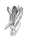 Coloring pages corn