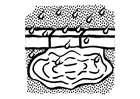 Coloring pages water puddle