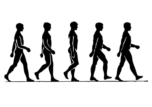 1 A walking