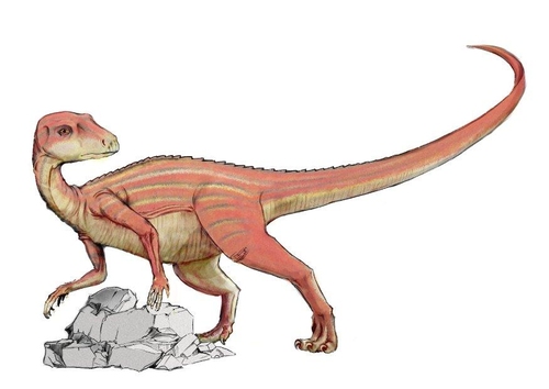 Abrictosaur dinosaur