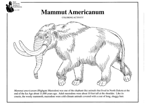 American mammoth
