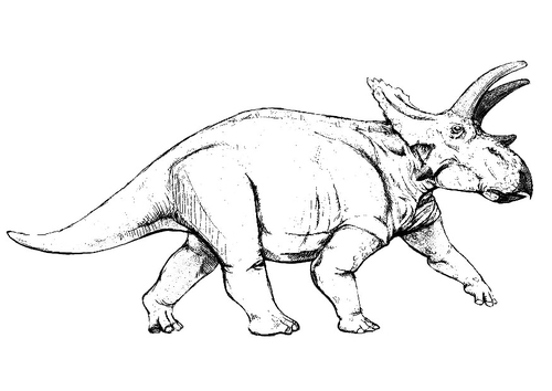 anchiceratops