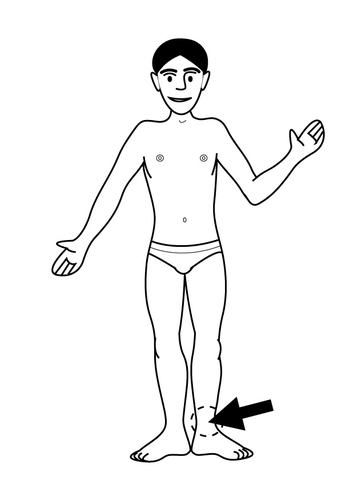 Coloring page ankle