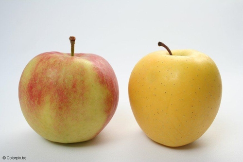 apples