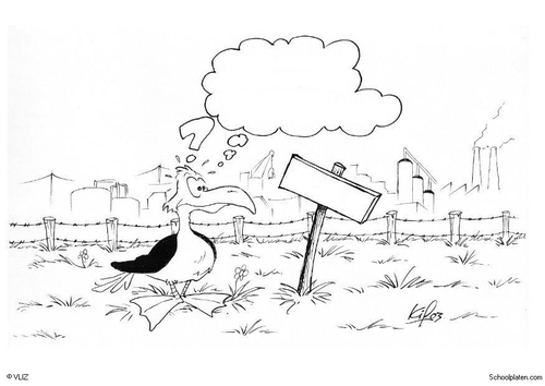 bird at a factory
