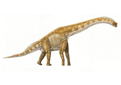 Brachiosaur