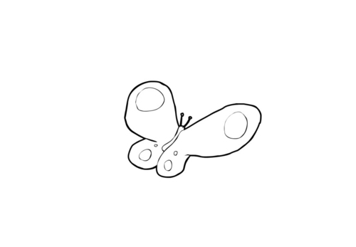 butterfly