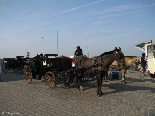 carriage