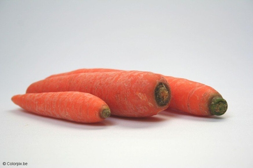 carrots