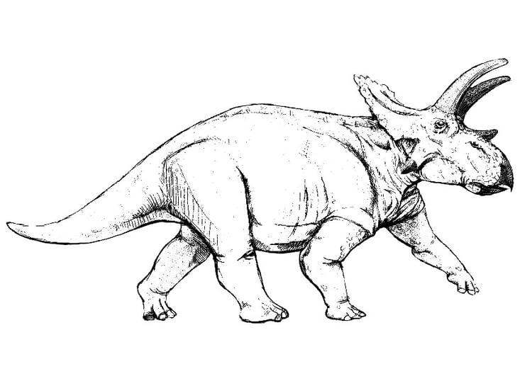 Coloring page anchiceratops