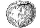 Coloring pages Apple