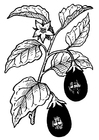 Coloring pages aubergine