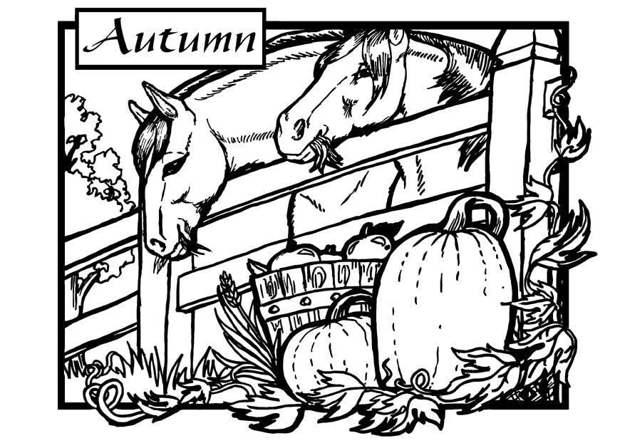 coloring pages of horses. Coloring page autumn - horses