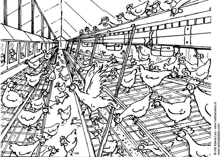 Coloring page aviary