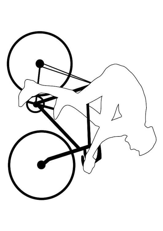bicycle racing