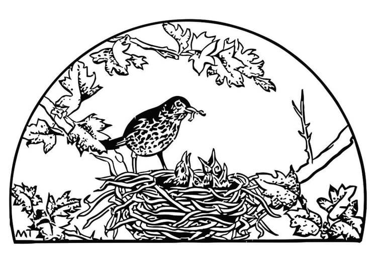 Coloring page bird's nest