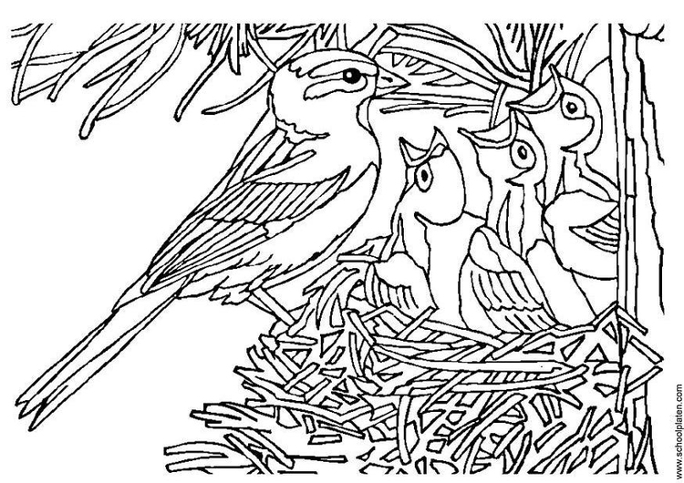 Coloring page bird with nest