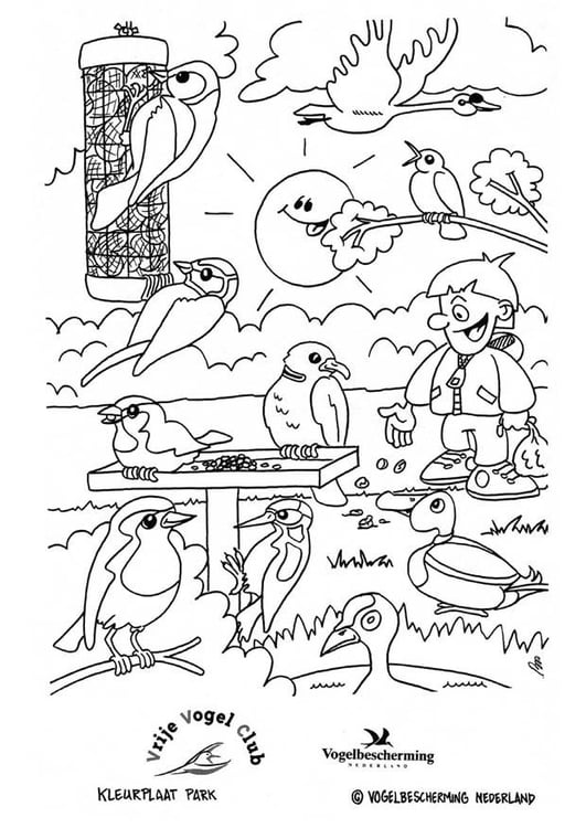 Coloring page birds in the park
