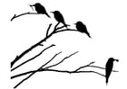 Coloring pages birds on a branch