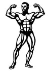 Coloring pages body building