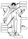 Coloring pages body parts