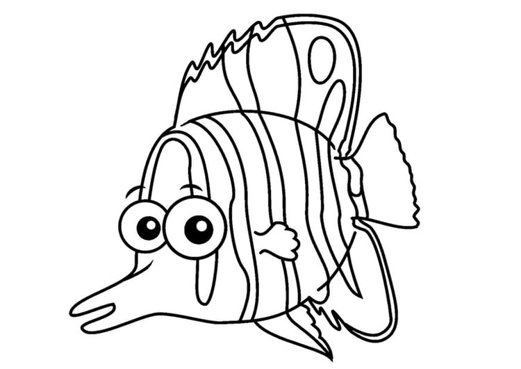 Coloring page butterflyfish
