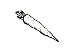 Coloring pages carrot