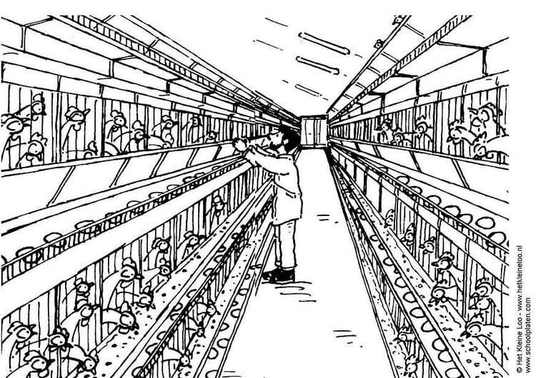 Coloring page chicken coop