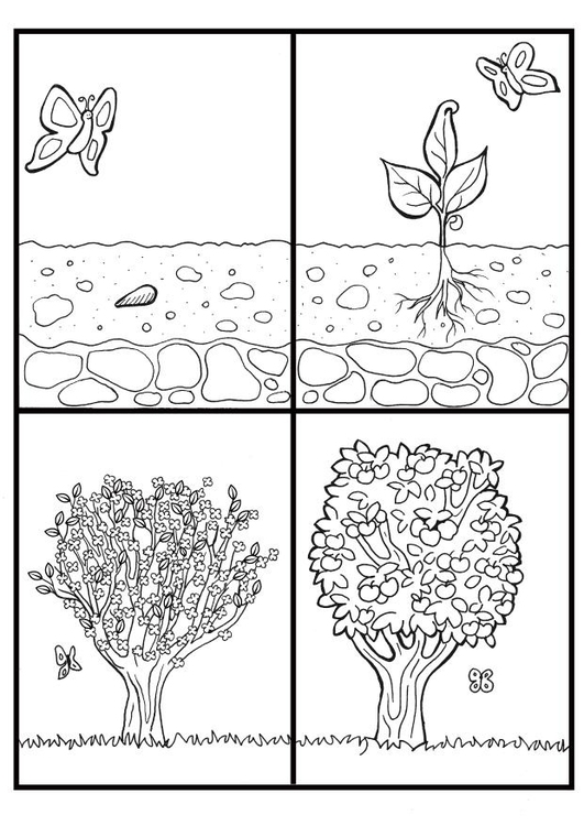 Coloring page cycle appletree