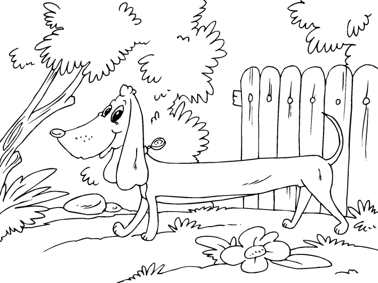 Coloring page dachshund