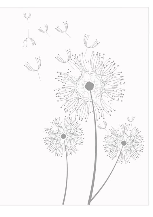 Coloring page dandelions