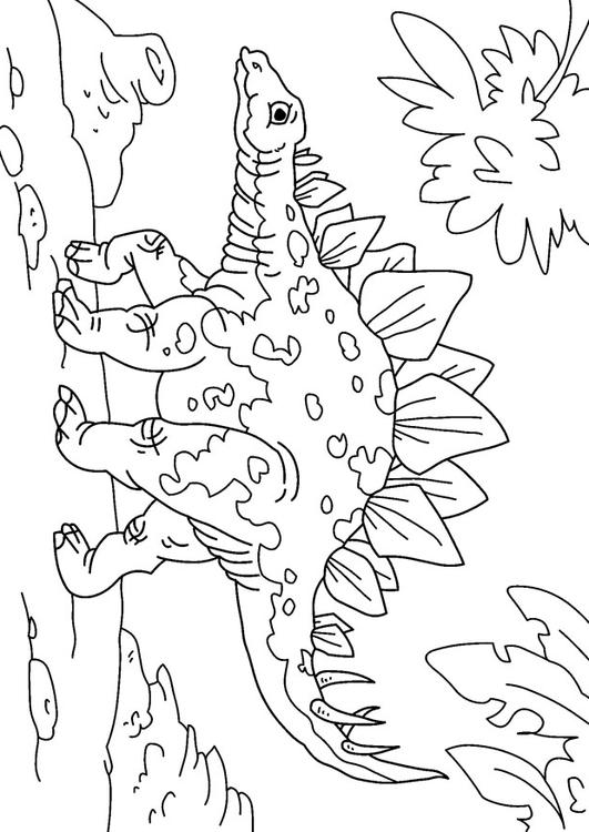dinosaur - stegosaurus