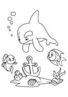 Coloring pages dolphin and fish with anchor