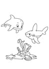 Coloring pages dolphin and shark