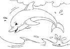 Coloring pages dolphin