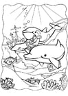 Coloring pages dolphins 3