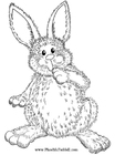Coloring pages Easter Rabbit