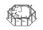 Elephant in Cage