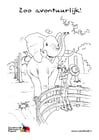 Coloring pages elephant in the zoo