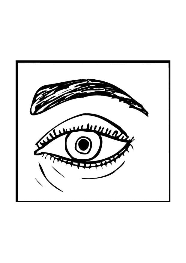 Click the An Eye coloring page to view printable version.