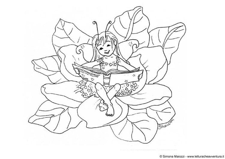 Coloring page fairy with book