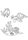 Coloring pages fish and water turtle