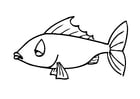 Coloring pages fish