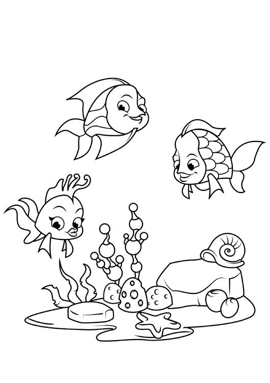 fish with friends