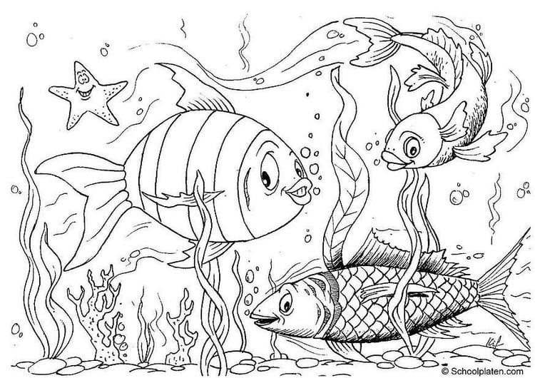 Coloring page fishes