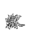 Coloring pages flowers