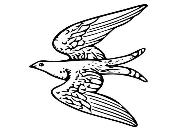 Coloring page flying bird