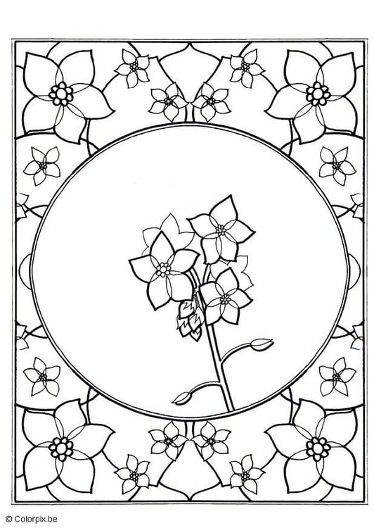 Coloring page forget-me-not