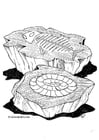 Coloring pages fossil