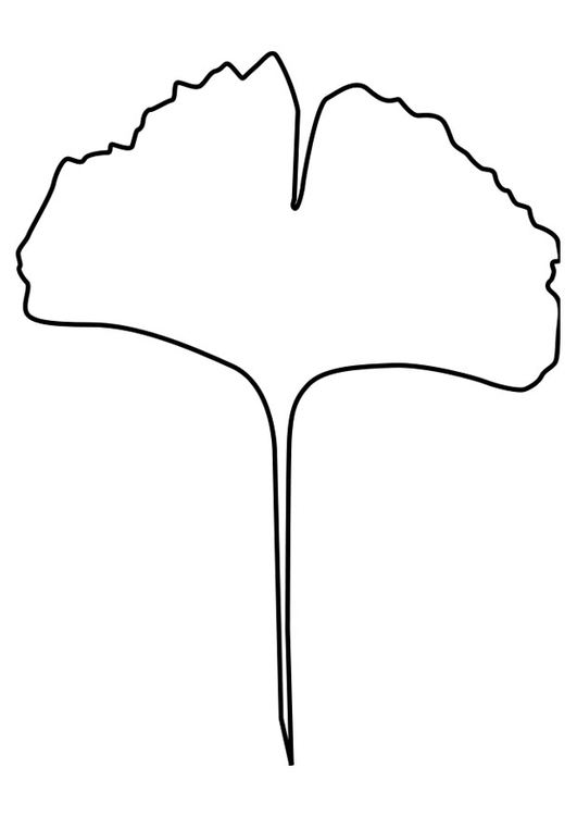 Coloring page ginko leaf